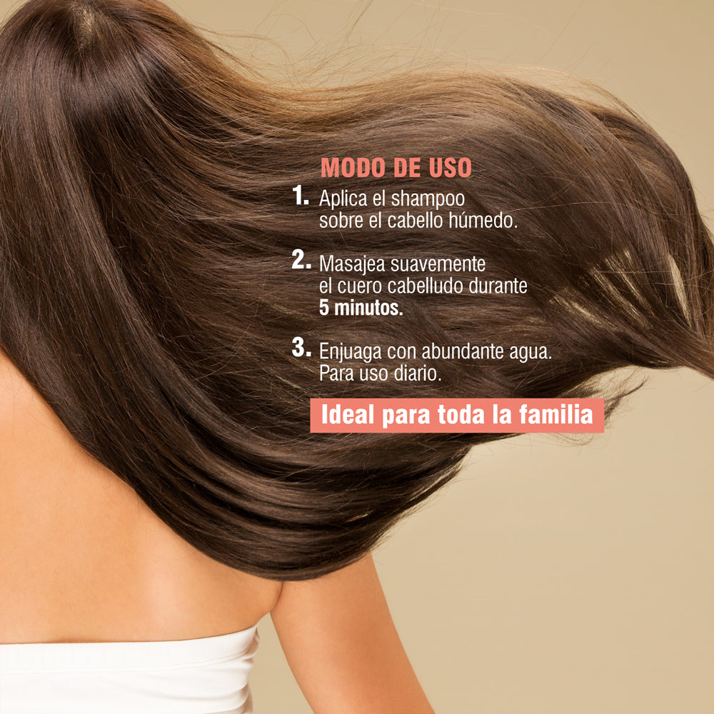 Shampoo Poder Frutal x400ml Maria Salome
