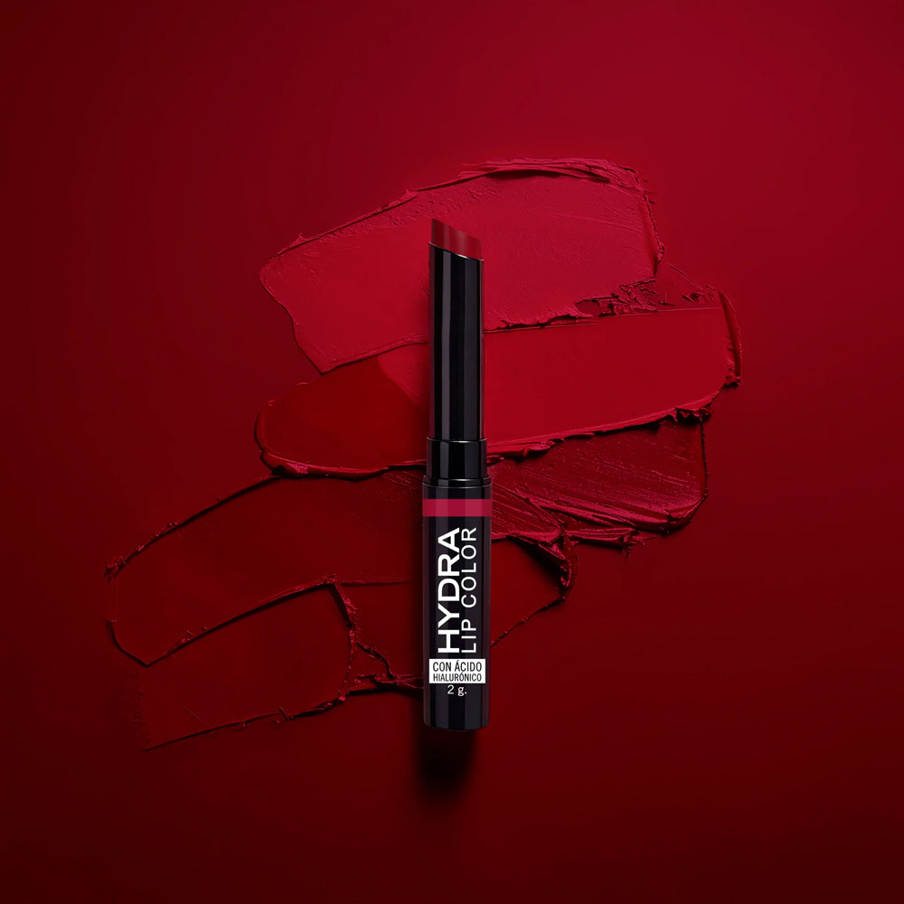 Labial En Barra Ana María Perfect Color Care 2g