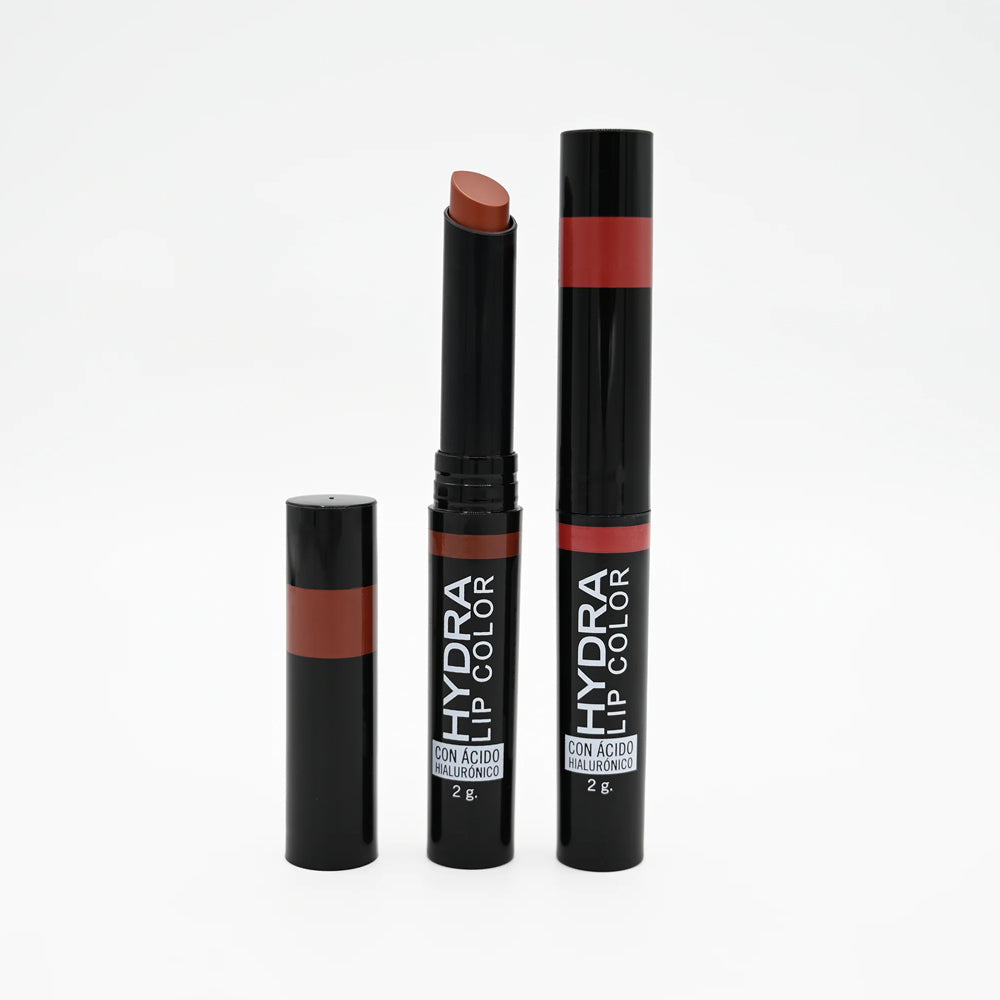 Labial En Barra Ana María Perfect Color Care 2g