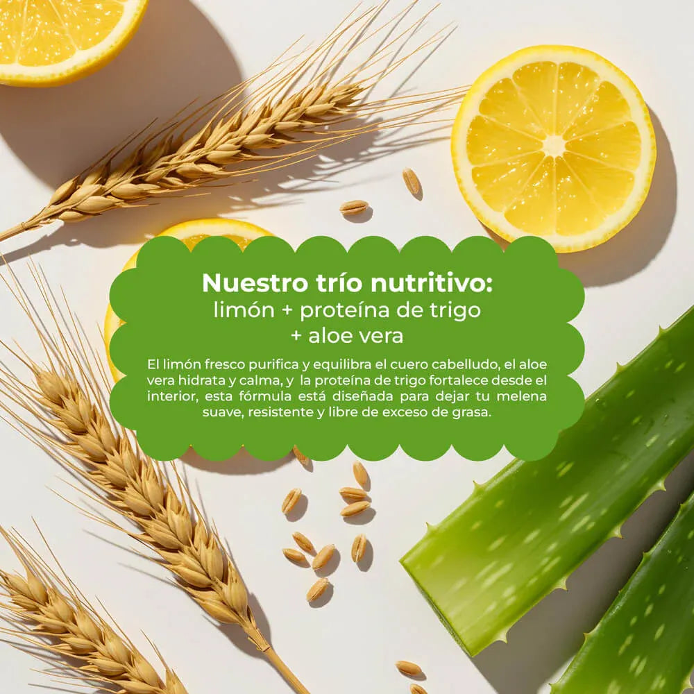 ingredientes-tratamiento-control-graso-naissant