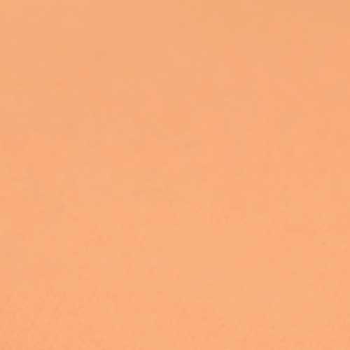 s-040000-base-polvo-natural-resist-vogue-x9gr