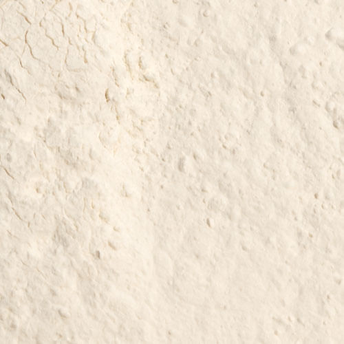 s-t951211-Polvo-Suelto-Ame-X19g-translucido-1